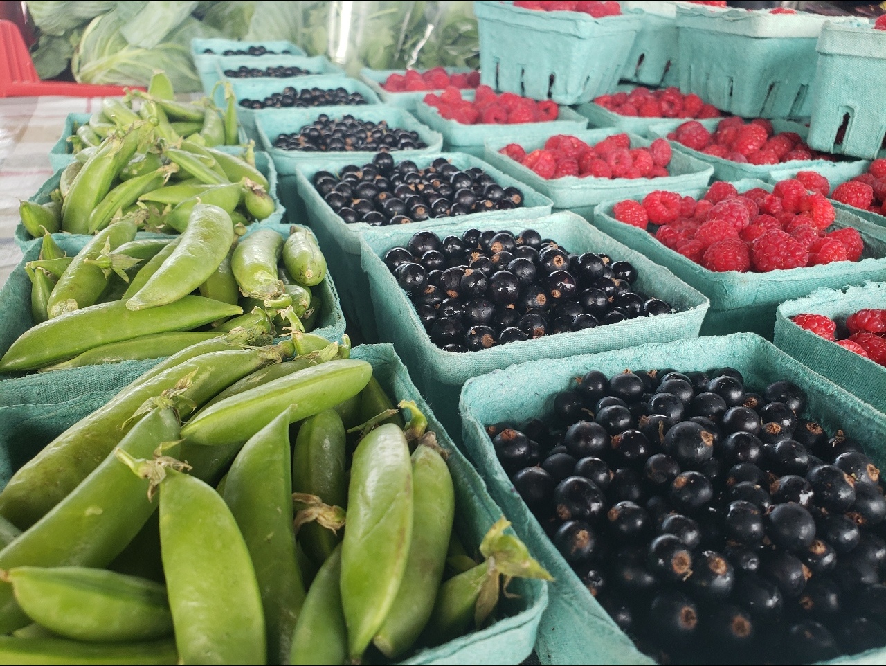 Our Vendors Kingston Farmers Market