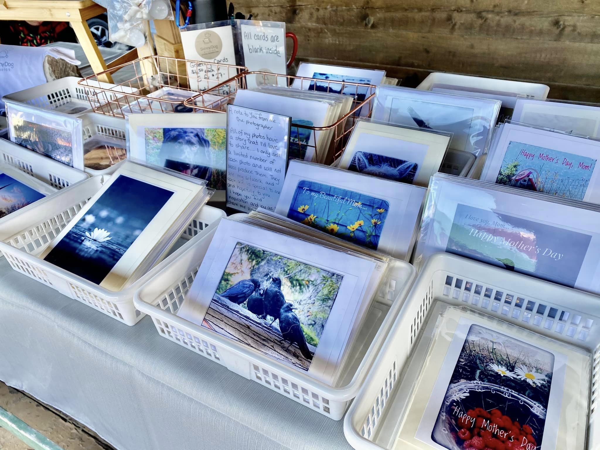 345167121_186244480982271_998720398743778094_n