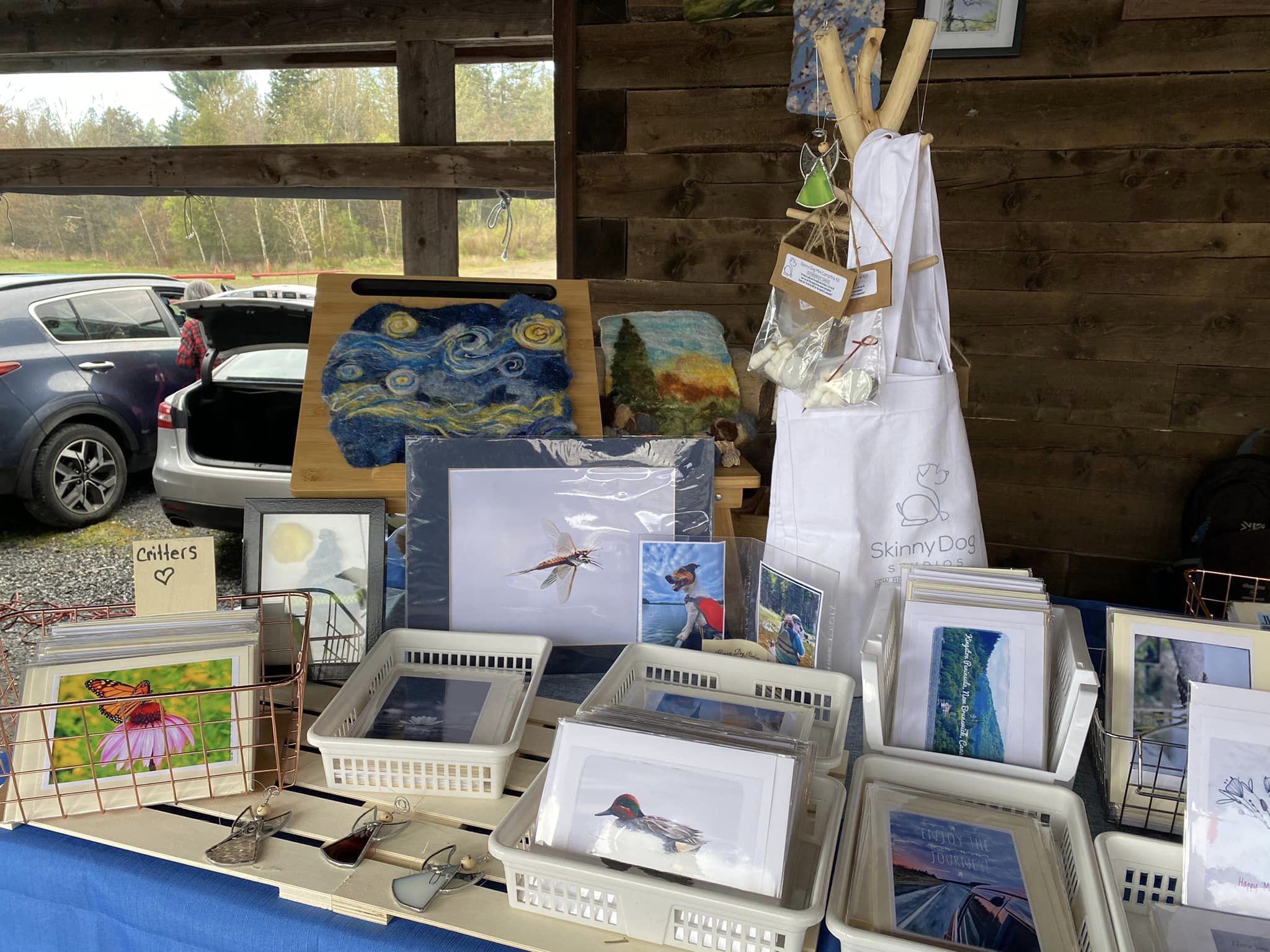 346093773_6320593128003742_1633053418912855754_n